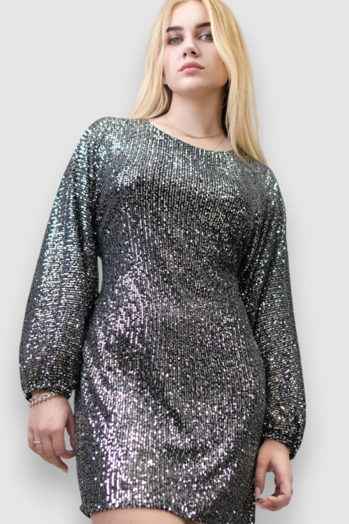 Ženska srebrna večernja haljina Finley